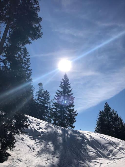Sonniges Apartment In Seefeld Seefeld in Tirol Dış mekan fotoğraf