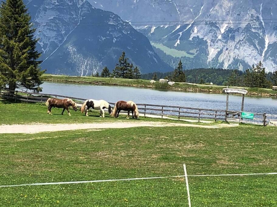 Sonniges Apartment In Seefeld Seefeld in Tirol Dış mekan fotoğraf