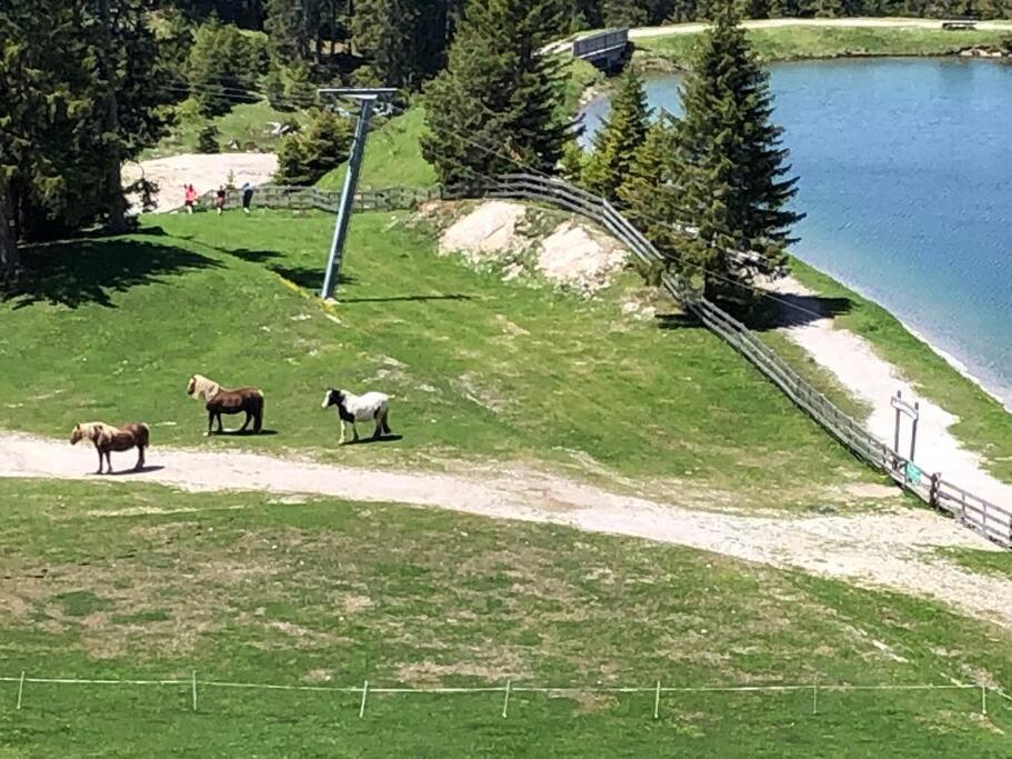 Sonniges Apartment In Seefeld Seefeld in Tirol Dış mekan fotoğraf